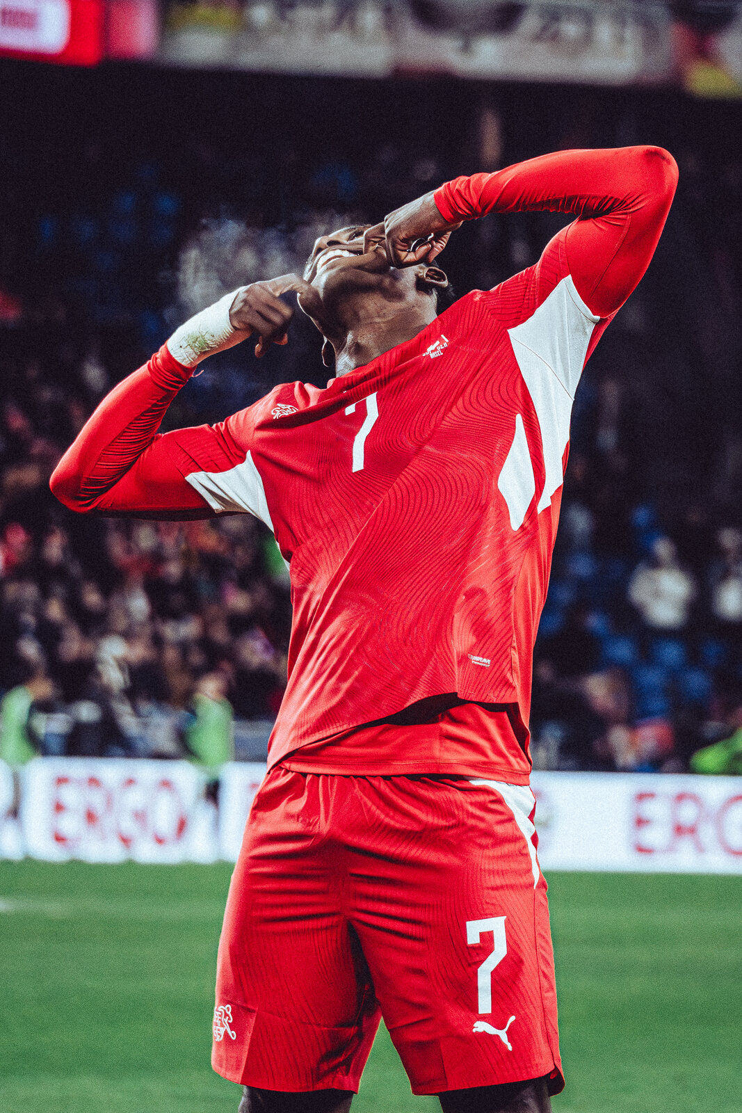 Switzerland goal celebration